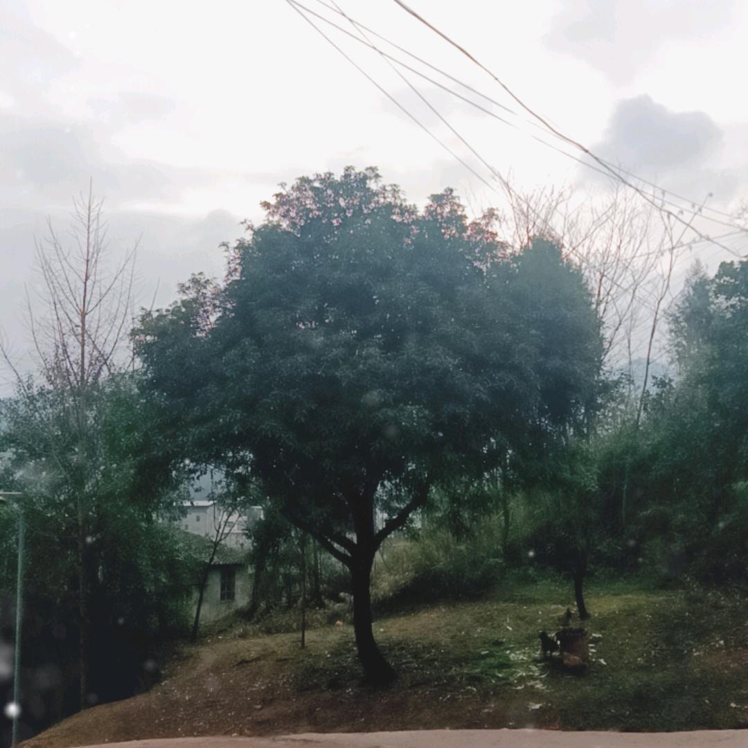 ꧔ꦿ᭄💞曾予微陈🕊꧔ꦿ᭄💞