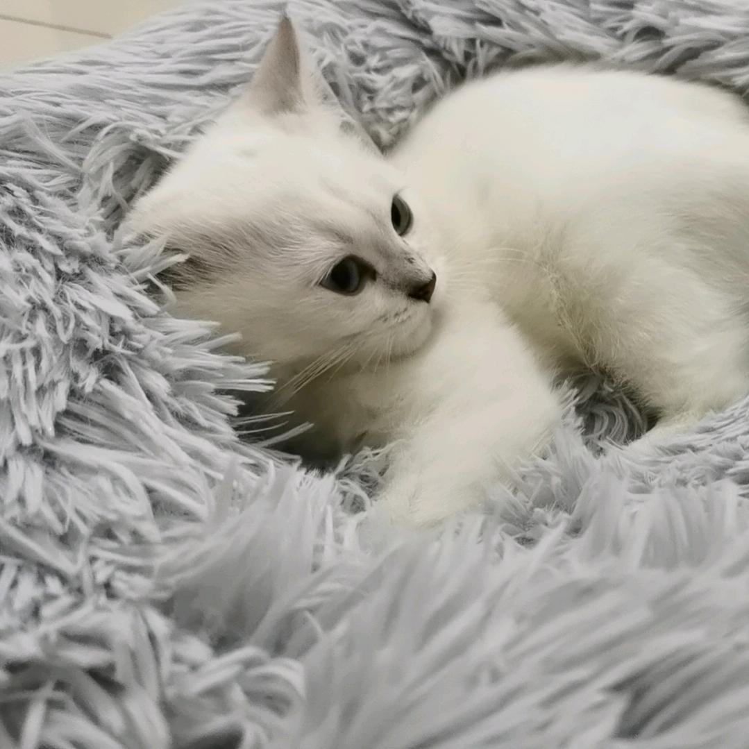潇洒mandy