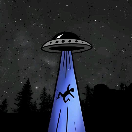 ，。，。，。，。