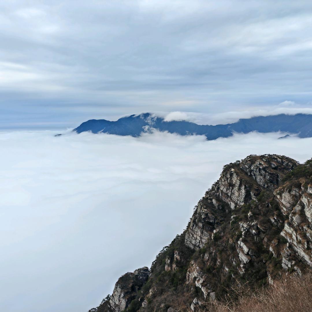 蜜丝Dr.鱼🐟🐟