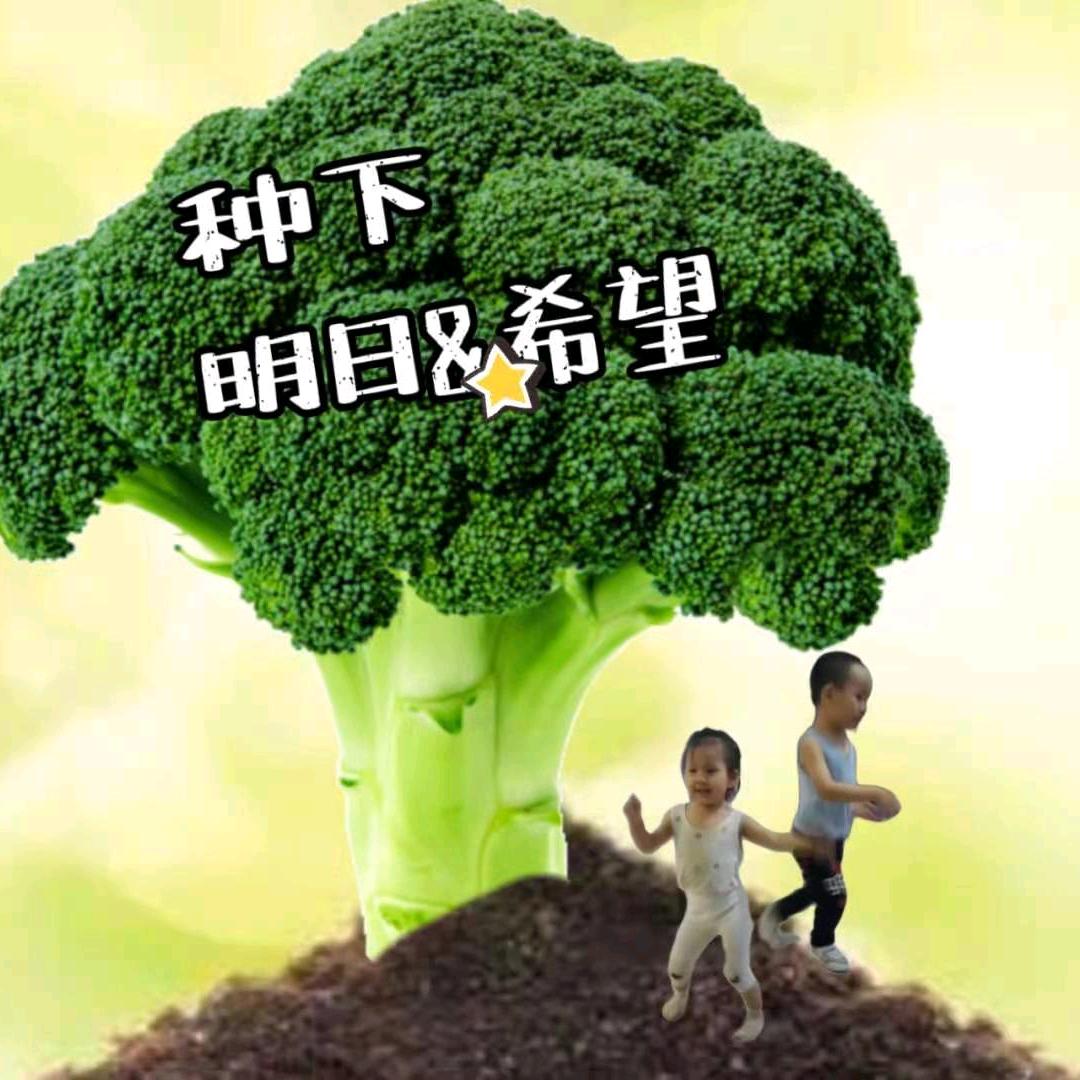 浮夸若梦,先生つ