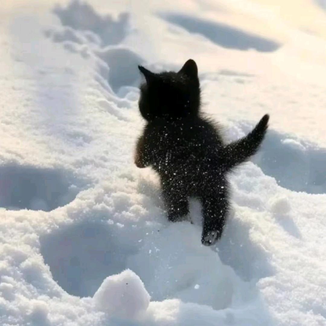 贪财好色怎么了？