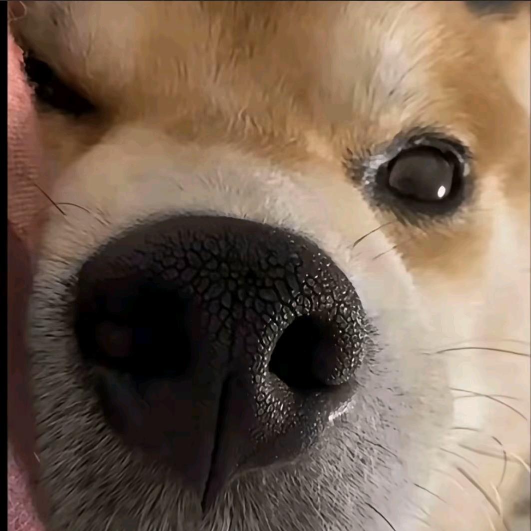 爱你的心满吗