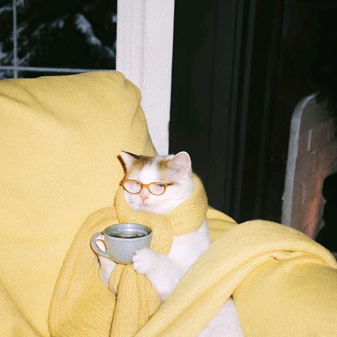 一只鸭腿📷