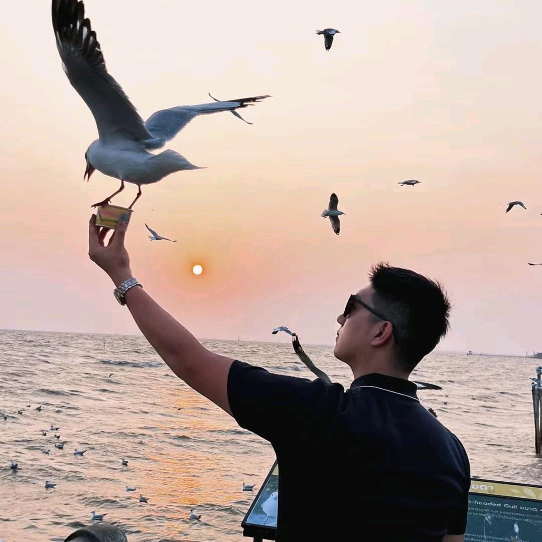 李佳航
