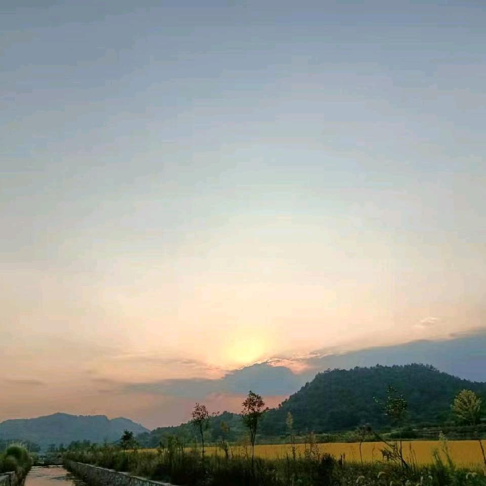 柏壹精密