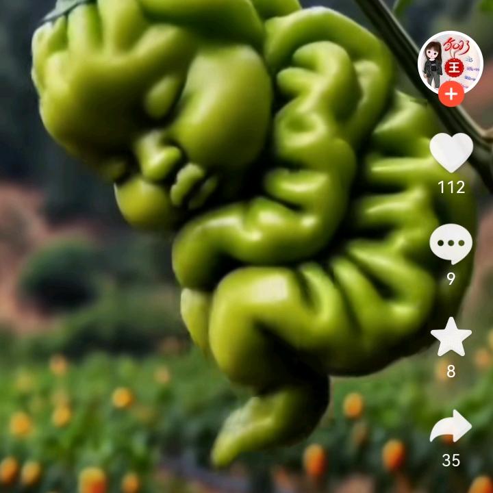 曾曾日上