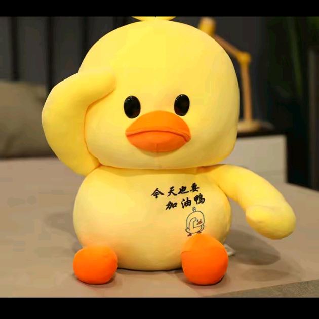 可儿,很哇塞