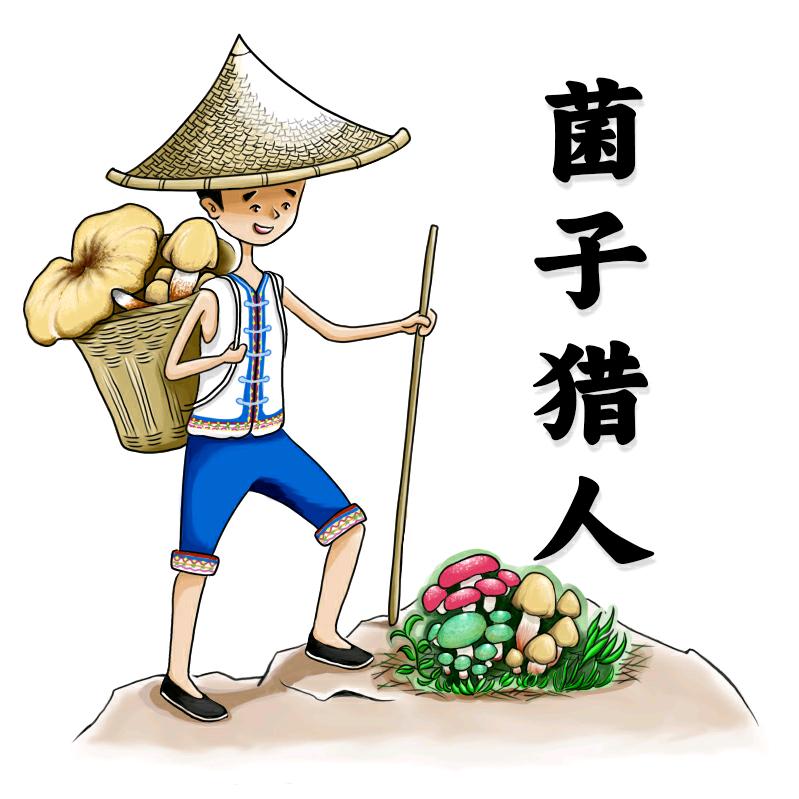 菌子猎人🌈云南野生菌
