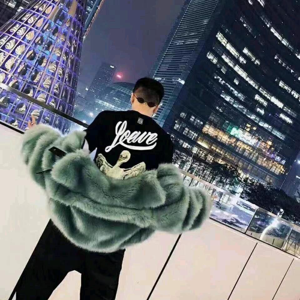黑鲨探影