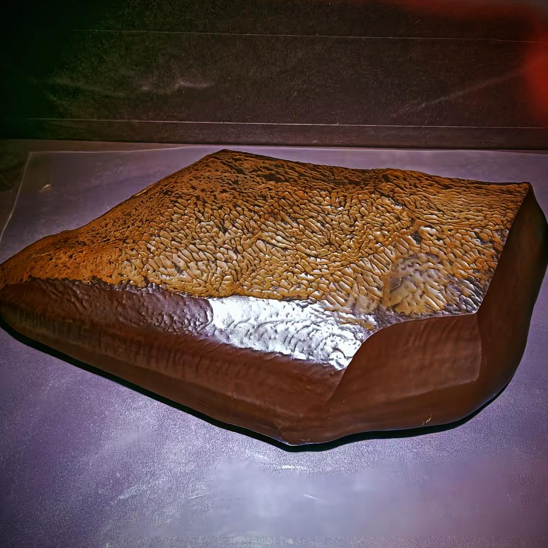 实趣石味
