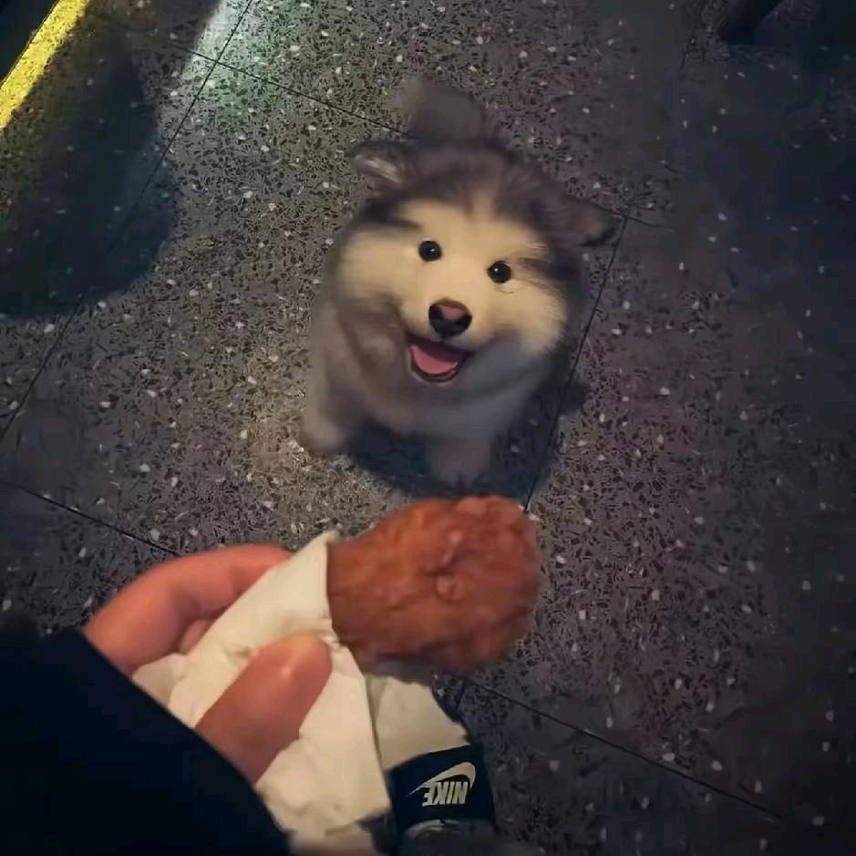 06的豪