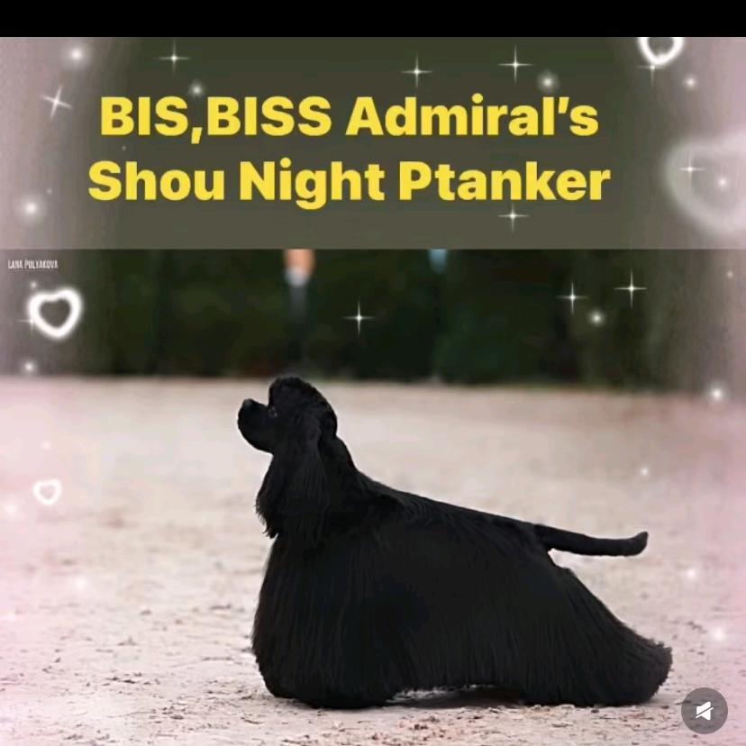 阿杰爱美卡爱机车