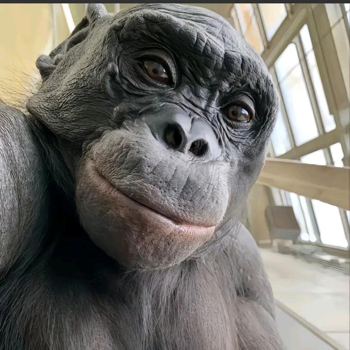 背火盖er