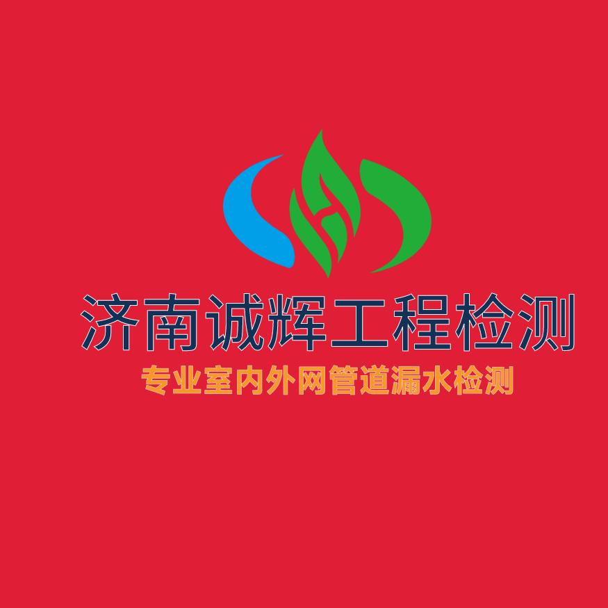 济南诚辉工程管道检测有限公司