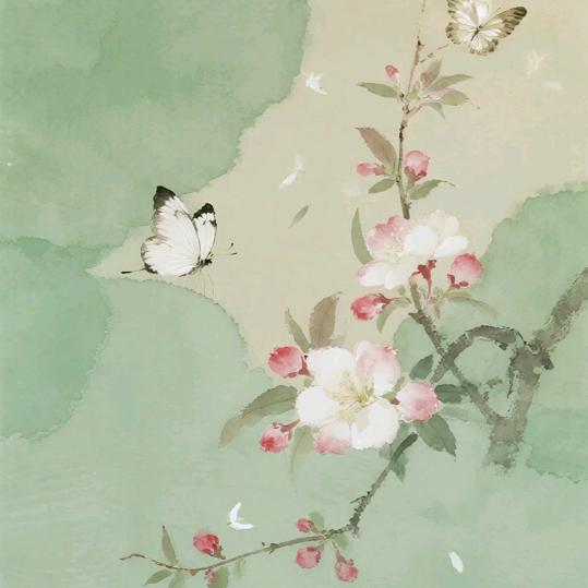 小禹