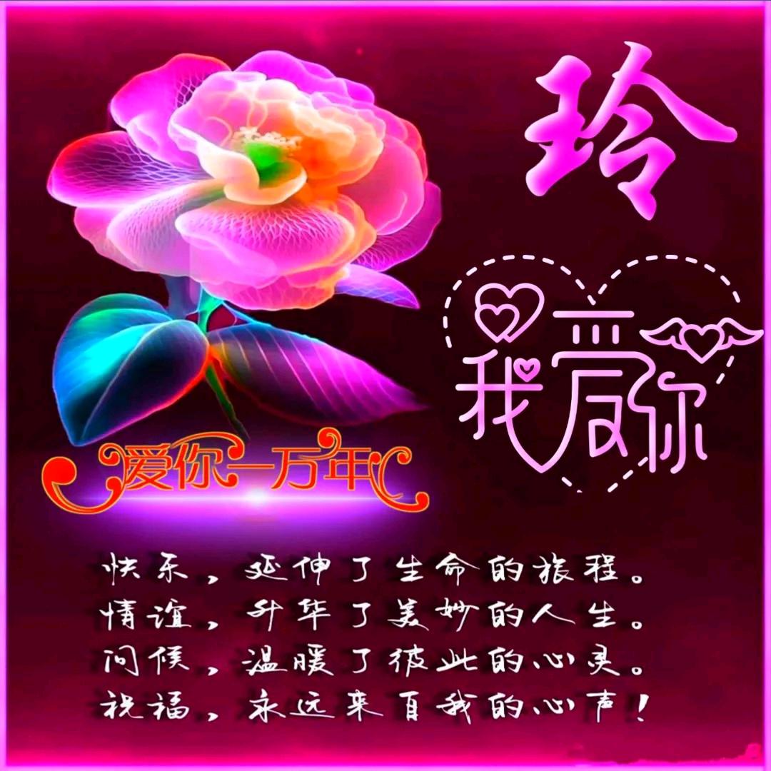 🌹🦜(ღ♡‿冬♡ღ)❀玲|｡･㉨･)