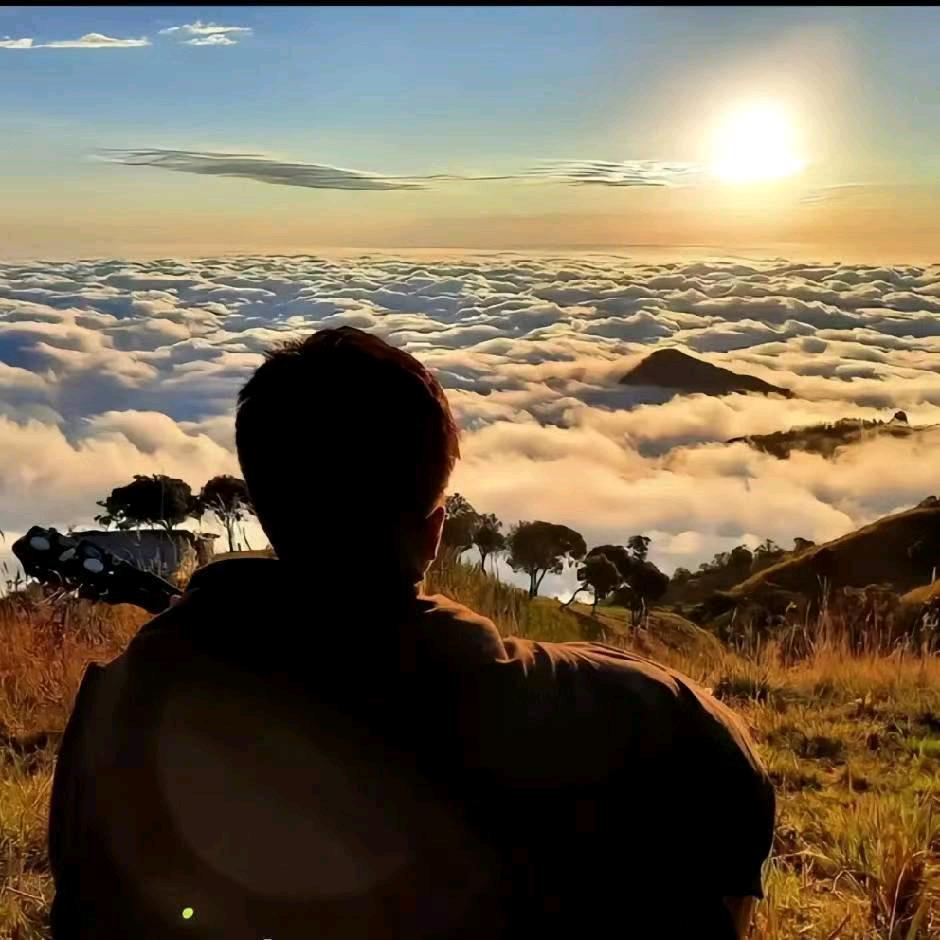 帅八怪