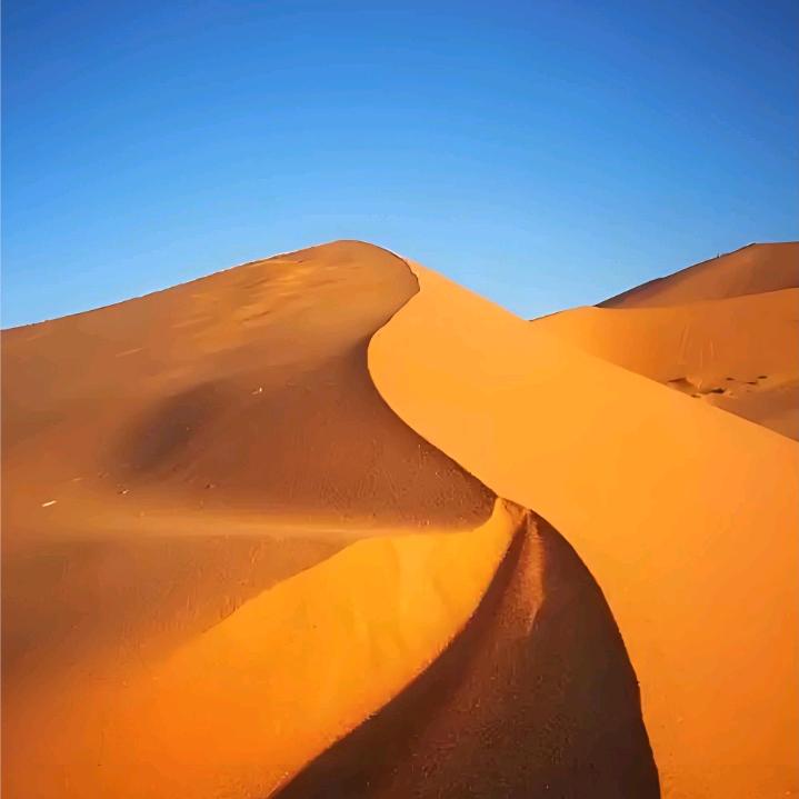 累了也想喝点酒