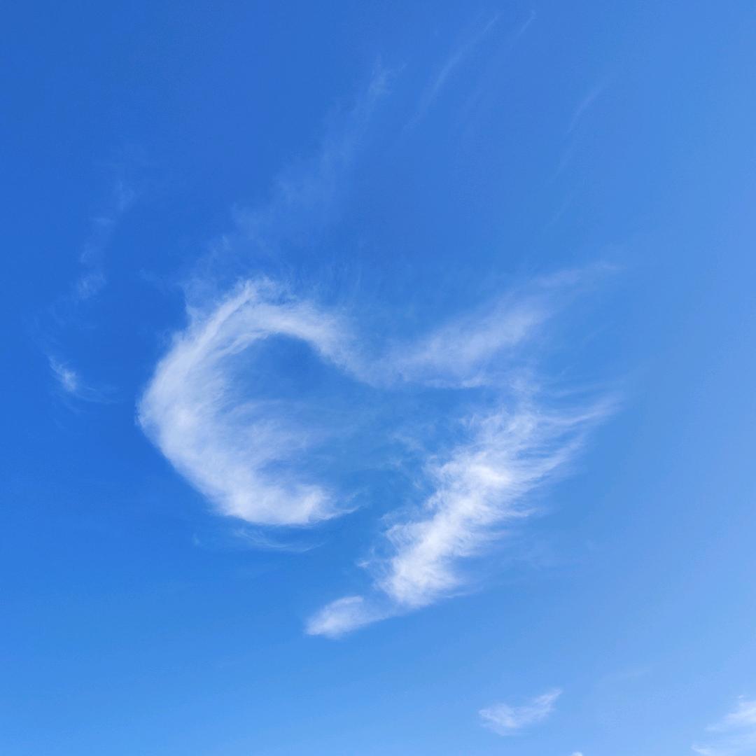 一本正经的胡说八道￥