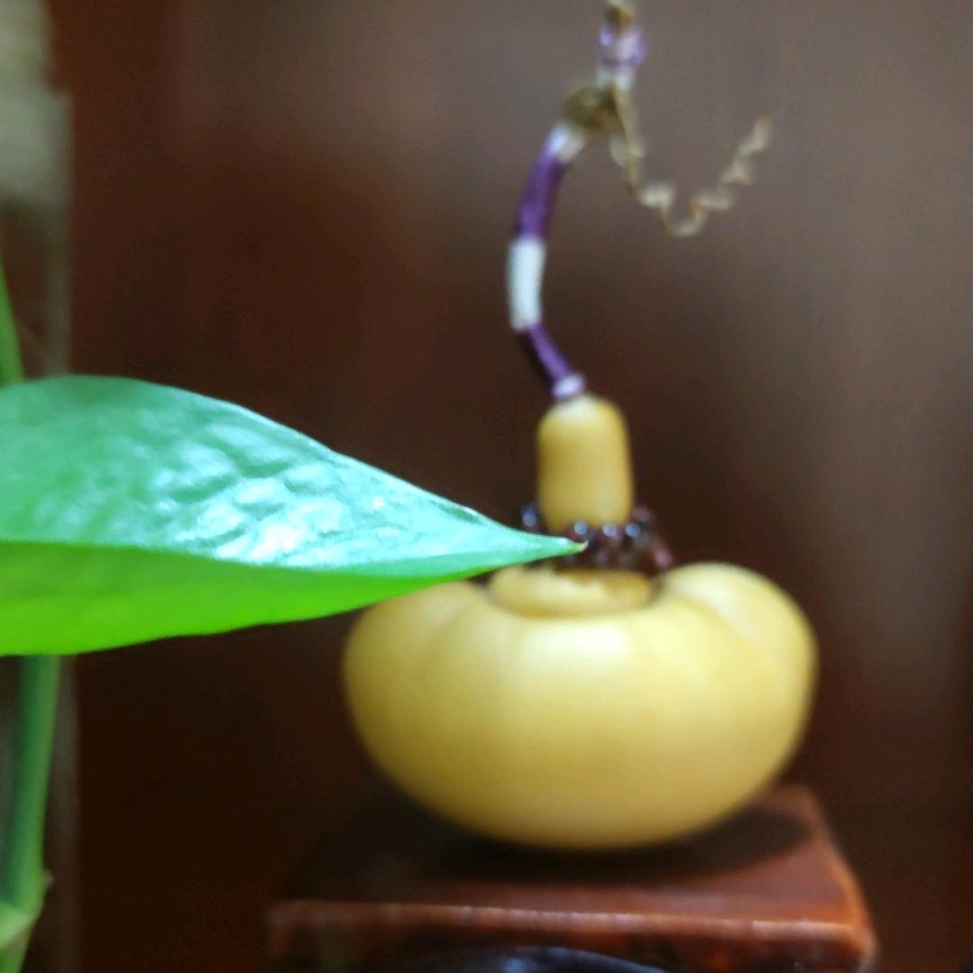 诗涓画懿