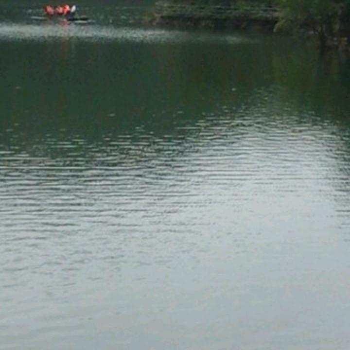 清风飘飘