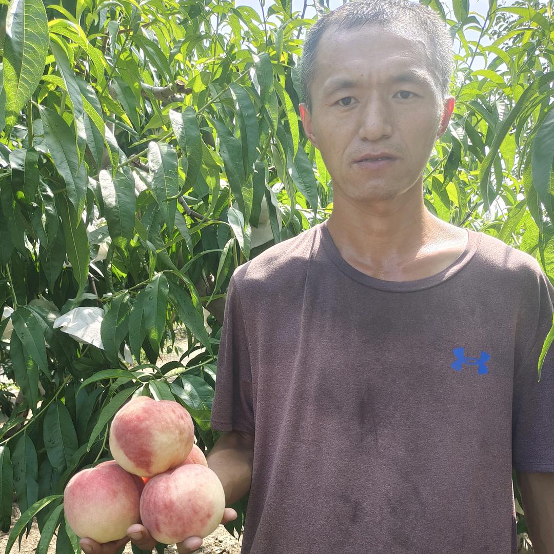 泰安80后种桃哥