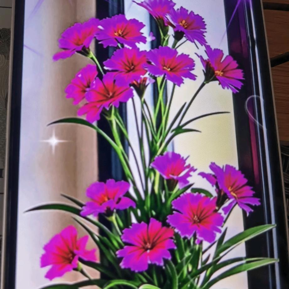 水手