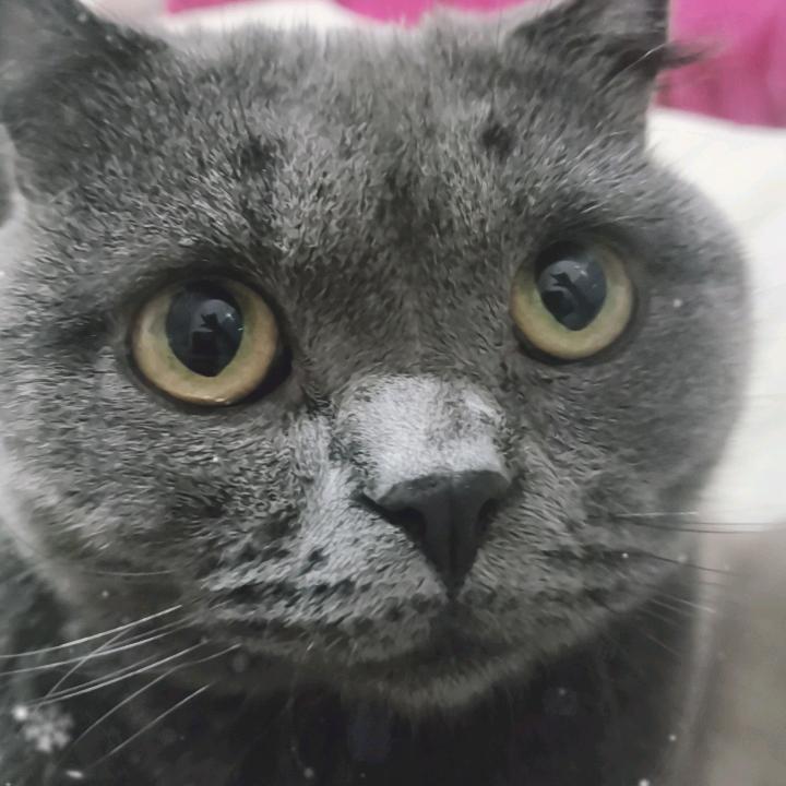 岁月静好