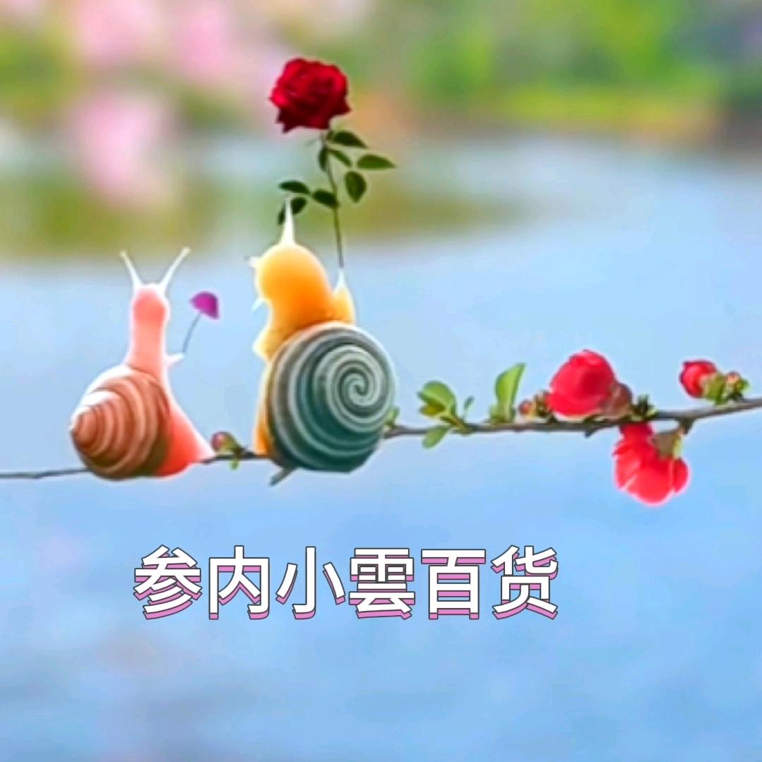 参内小雲百货