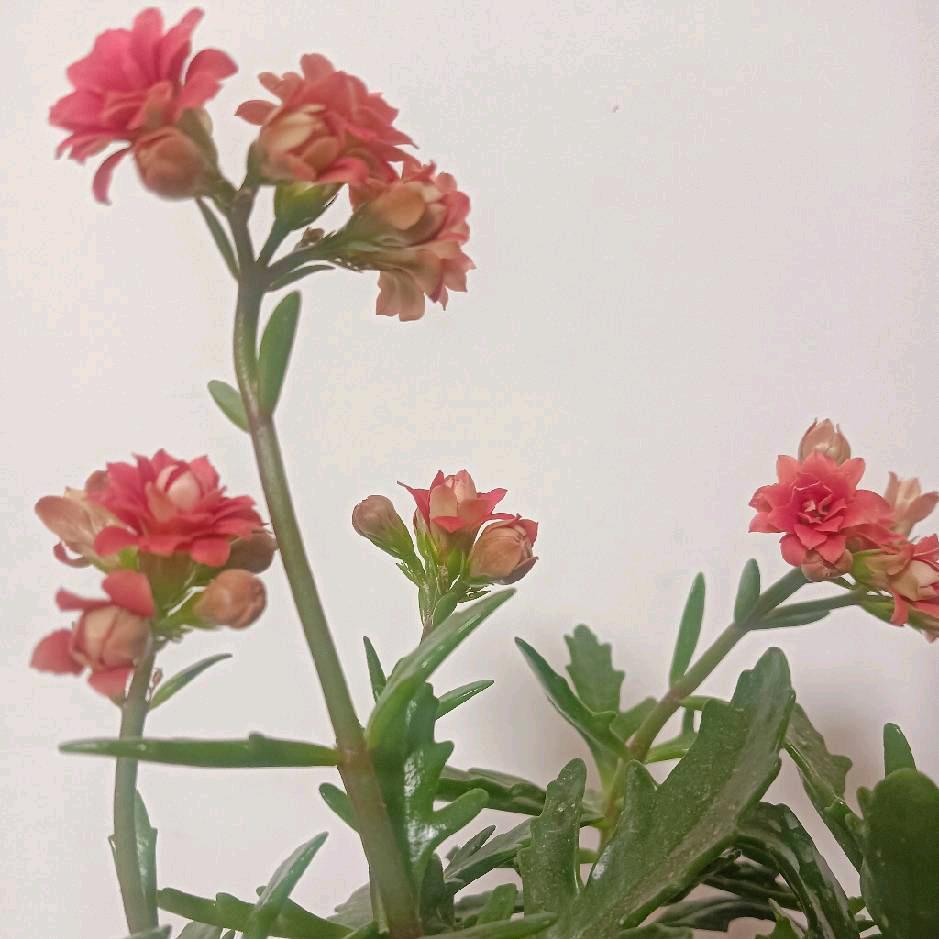 《开心快乐每一天》