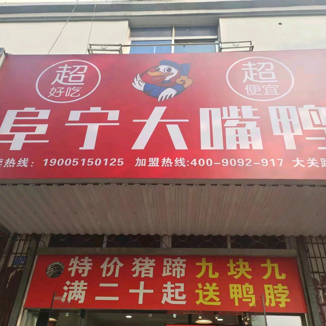阜宁大嘴鸭