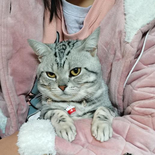 上下左右直走