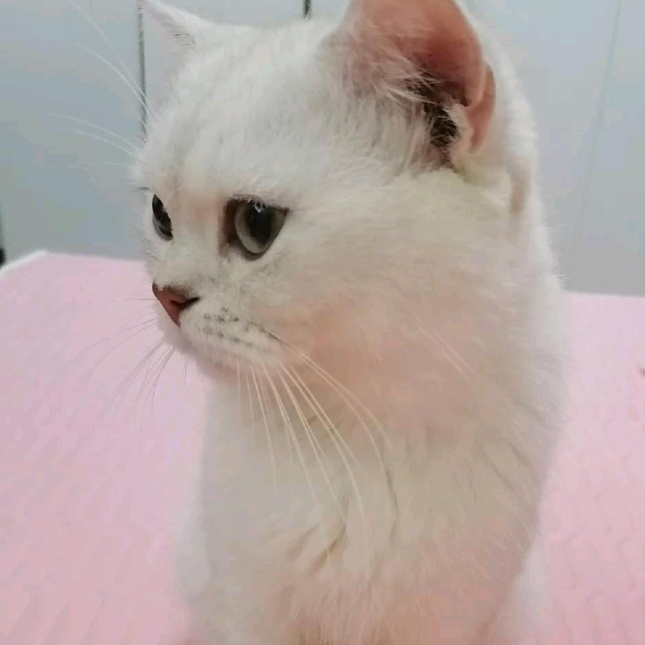 随缘？