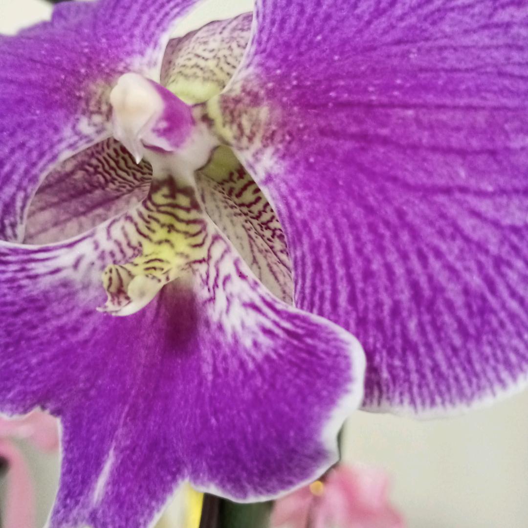 加油吧！余生就随心去吧❤️