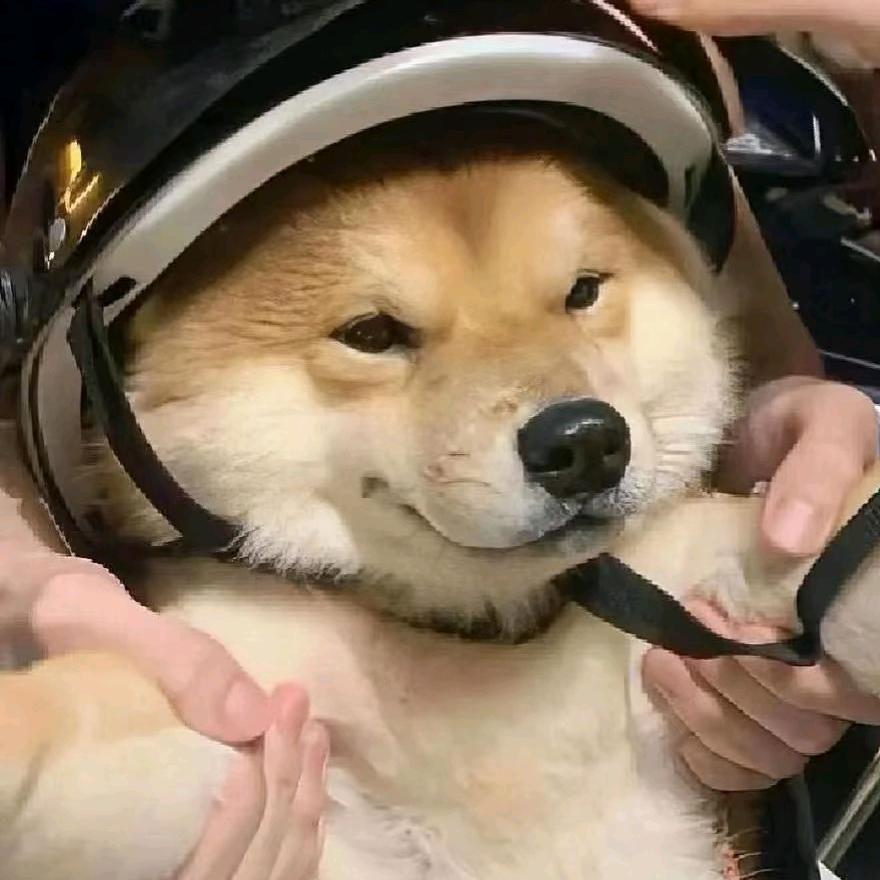 王者荣耀灰灰.（91段发育路）