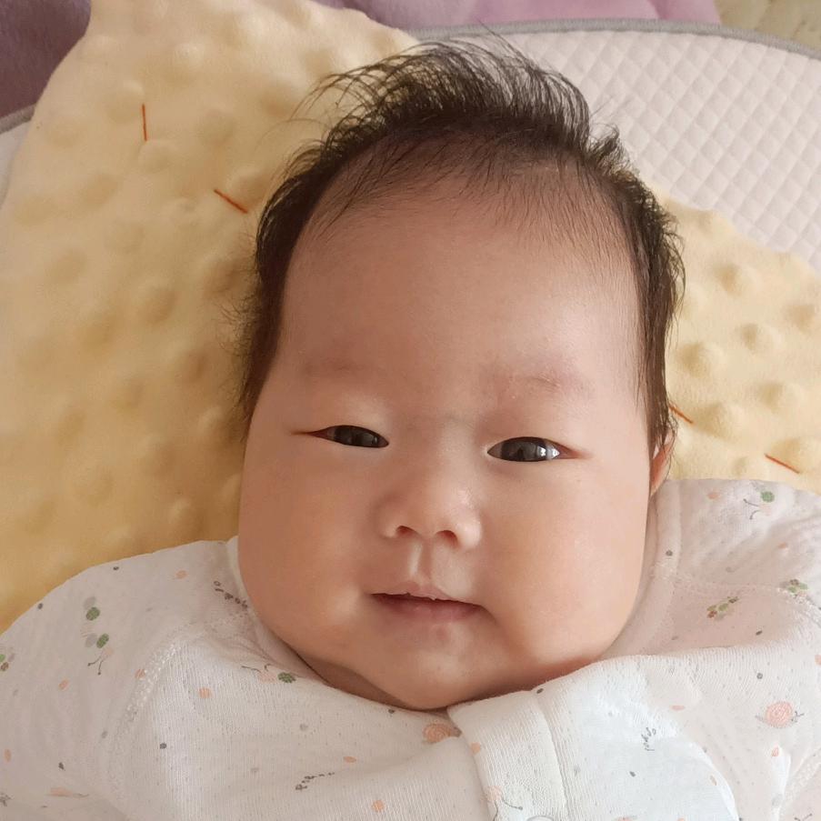顾 卫。。。/