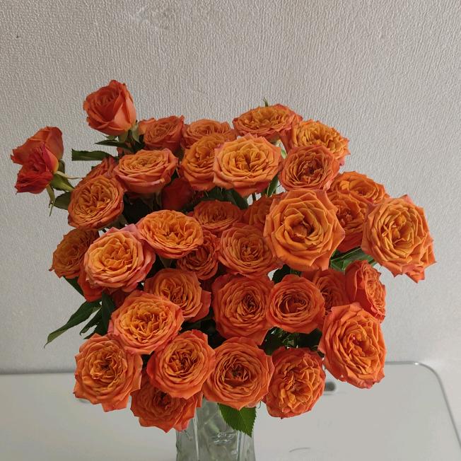 明天你好