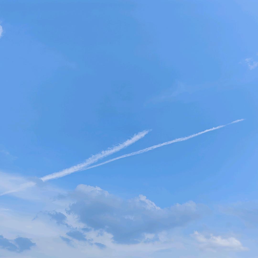 我腿好短