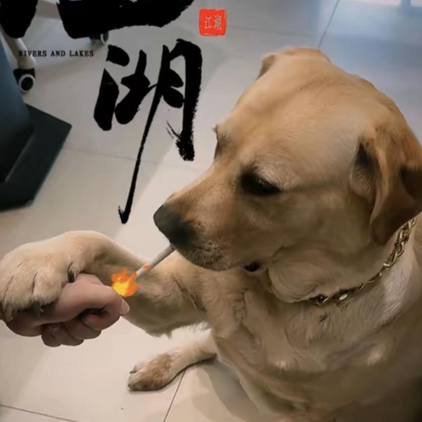 穷凶极恶