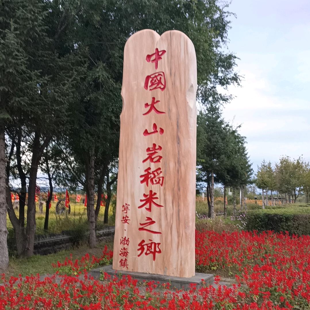 石板贡米