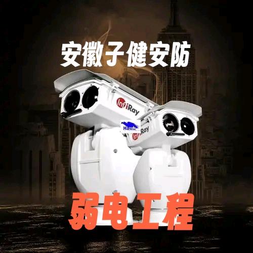 安徽子健安防