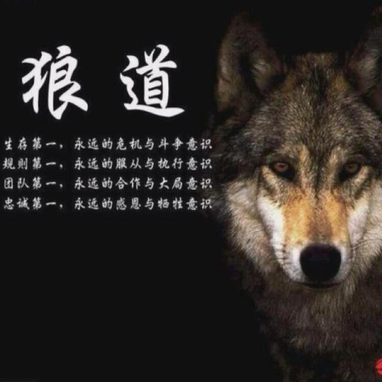 依旧是我