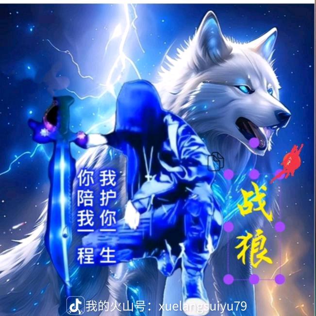 抖音战狼