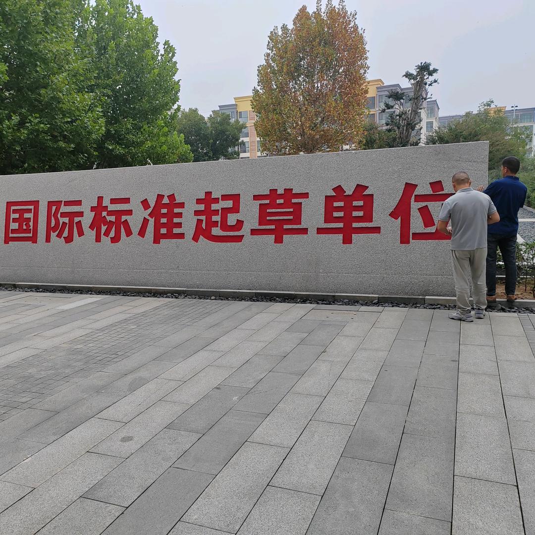放下一切