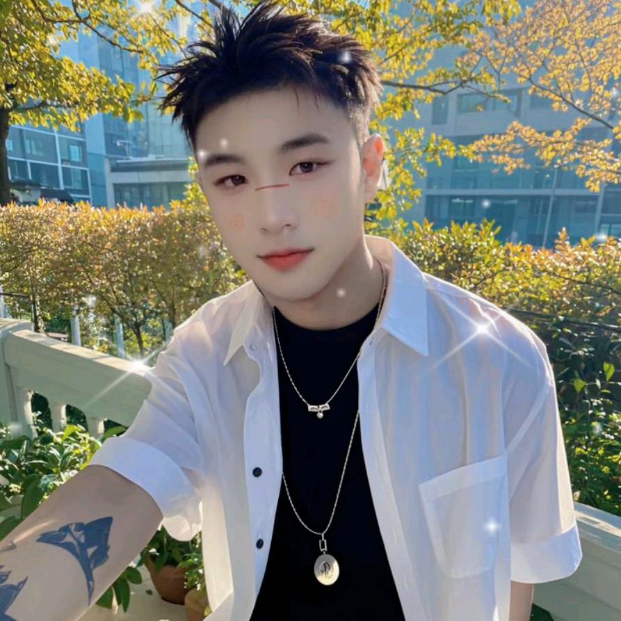 爱护的喜羊羊🐏