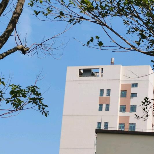 让记忆带我去见她~( ´•︵•` )~?