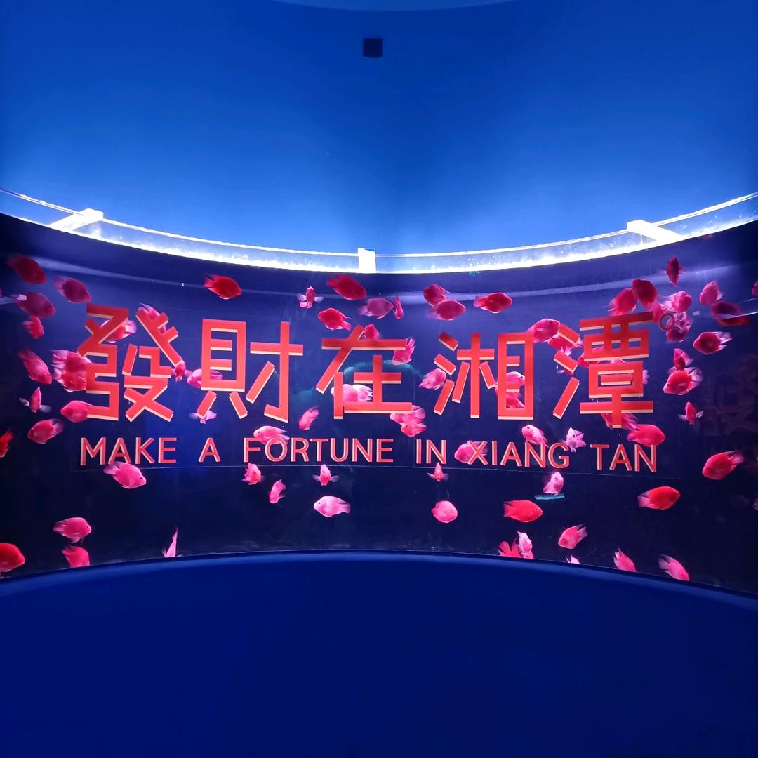 珍惜当下