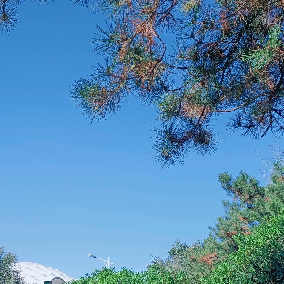 此岸 彼岸