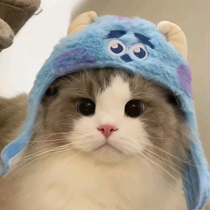 🌈性感绝育母蟑螂